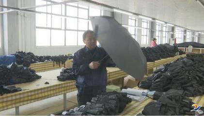 郸城:聚“伞”成群 打造“中国制伞之乡”